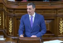 Pedro Sánchez en el Congreso