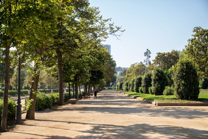 Paseo arbolado del Parc de la Ciutadella de Barcelona en primavera, con vegetación que produce polen