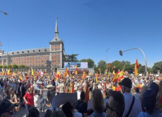 Miles de personas exigen en Madrid la dimisión de Pedro Sánchez y elecciones en la Marcha por la Dignidad Personas manifestándose en Madrid contra el socialista Pedro Sánchez con banderas de España.
