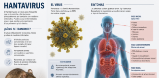 Infografía del hantavirus que muestra su transmisión por roedores y los principales síntomas en el cuerpo humano