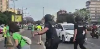 Momento en el que una manifestante es empujada por un agente durante una protesta de docentes en Valencia.
