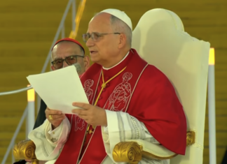 El Papa León XIV llama a España a «pasar de la noche a la luz» y pide construir un país «acogedor para todos» El Papa León XIV pronuncia su homilía durante la celebración celebrada en el Estadio Olímpico Lluís Companys de Barcelona.