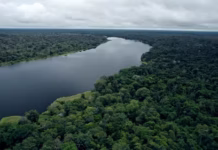 Vista aérea de la Amazonía colombiana