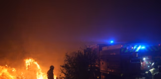 incendios forestales