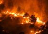 Incendio forestal con grandes llamas durante la noche en España