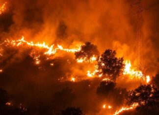 Las cifras del Ministerio desmienten cualquier correlación entre hectáreas quemadas y cambio climático Incendio forestal con grandes llamas durante la noche en España
