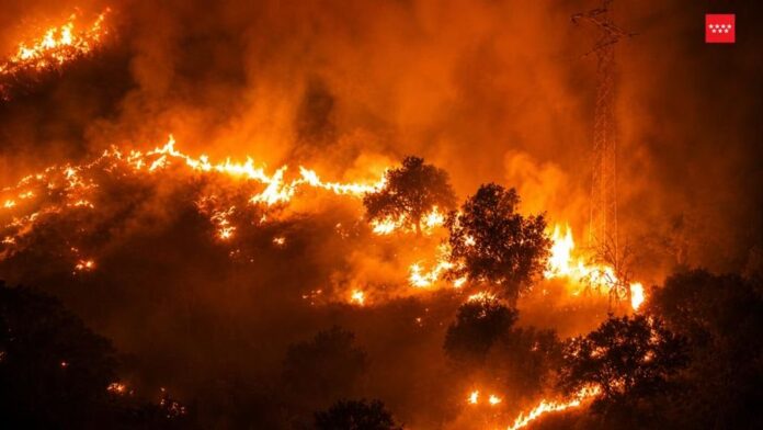 Incendio forestal con grandes llamas durante la noche en España