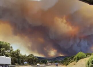 Detenido un hombre por provocar presuntamente el incendio del Baix Empordà mientras el fuego ya arrasa 1.280 hectáreas El incendio de La Bisbal d'Empordà ha calcinado ya 1.280 hectáreas.