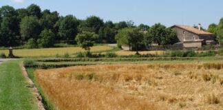 Batet de la Serra
