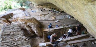 Arqueólogos trabajan en el yacimiento prehistórico de Les Coves del Fem, en Ulldemolins (Priorat), durante la campaña de excavaciones de 2026.