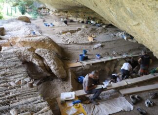 Arqueólogos trabajan en el yacimiento prehistórico de Les Coves del Fem, en Ulldemolins (Priorat), durante la campaña de excavaciones de 2026.