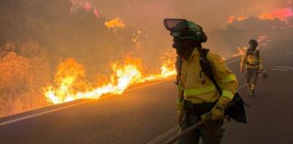 Bomberos trabajan junto a las llamas durante el incendio forestal declarado en Los Gallardos (Almería).