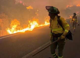 Tragedia en Andalucía: 11 personas fallecen en el incendio forestal de Los Gallardos Bomberos trabajan junto a las llamas durante el incendio forestal declarado en Los Gallardos (Almería).
