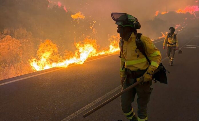 Bomberos trabajan junto a las llamas durante el incendio forestal declarado en Los Gallardos (Almería).