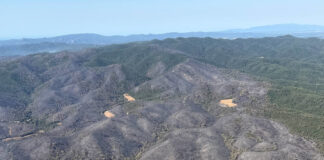 Vista aérea del perímetro del incendio de La Bisbal d'Empordà con amplias zonas forestales calcinadas mientras los Bomberos de la Generalitat continúan las tareas de consolidación.
