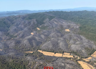 Vista aérea del perímetro del incendio de La Bisbal d'Empordà con amplias zonas forestales calcinadas mientras los Bomberos de la Generalitat continúan las tareas de consolidación.