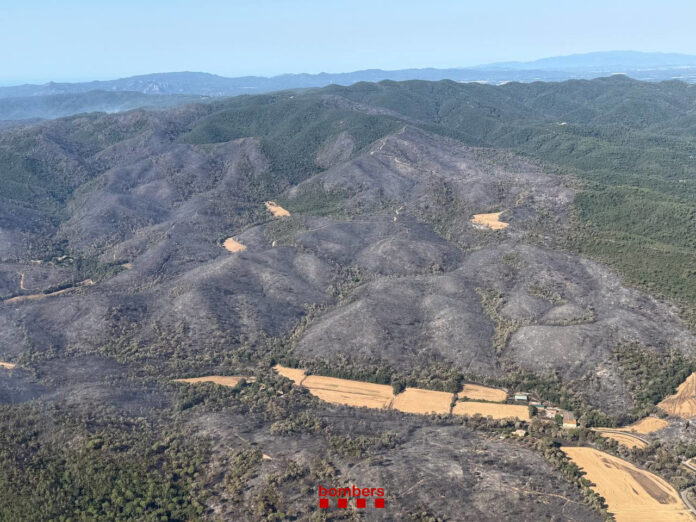 Vista aérea del perímetro del incendio de La Bisbal d'Empordà con amplias zonas forestales calcinadas mientras los Bomberos de la Generalitat continúan las tareas de consolidación.