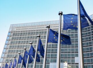 Alemania, Suecia y Lituania frenan la estrategia de España sobre las lenguas cooficiales