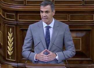 Pedro Sánchez en el Congreso